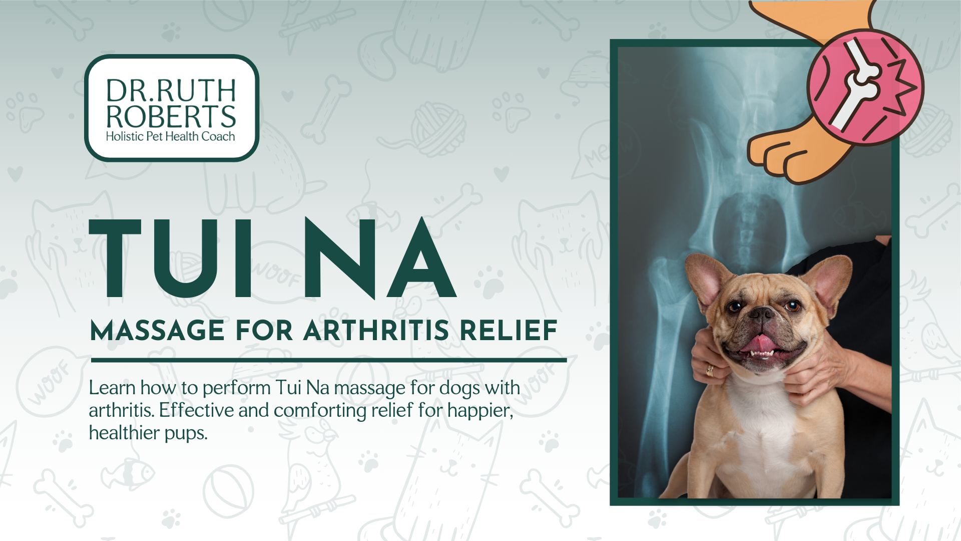 How to Do Tui Na Dog Massage for Arthritis