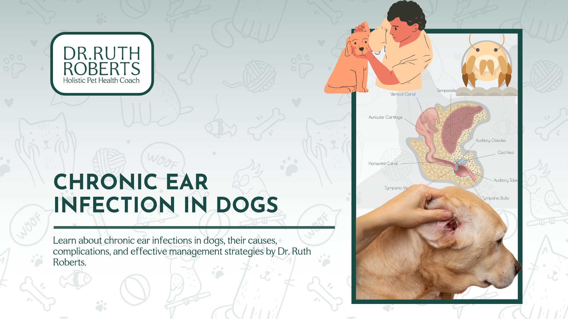 Ear specialist for dogs best sale near me