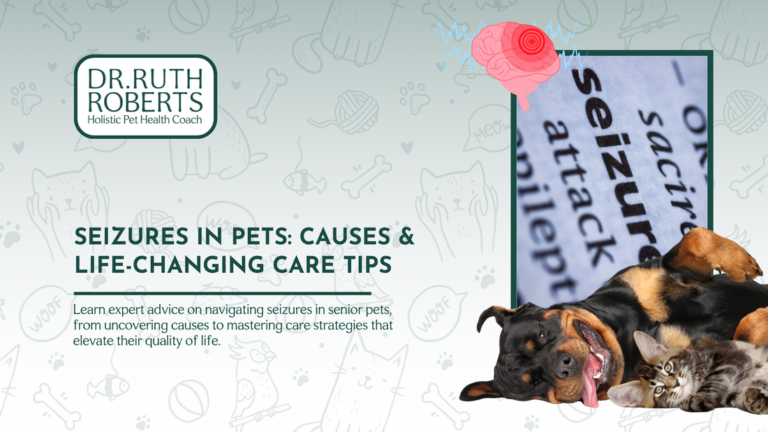 Seizures in Pets: How to Help Your Pet During a Seizure