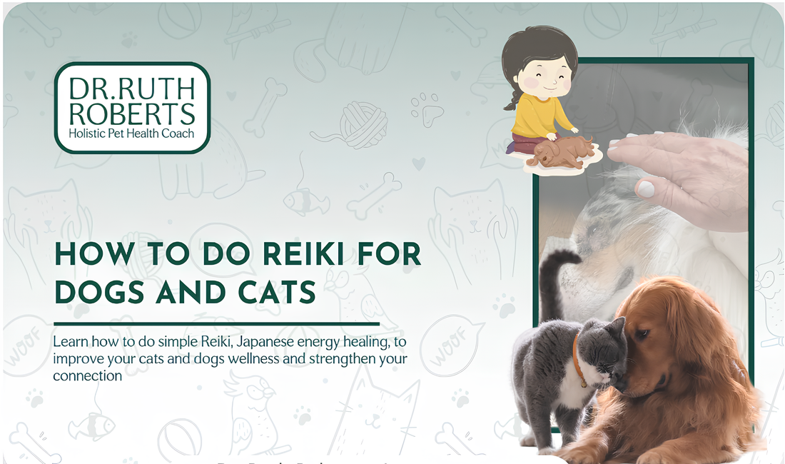 A graphic for Dr. Ruth Roberts titled "How to Do Reiki for Dogs and Cats," showing a cat and dog cuddling and a hand performing Reiki energy healing.