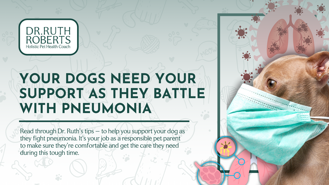 Supporting Dogs with Pneumonia at Home