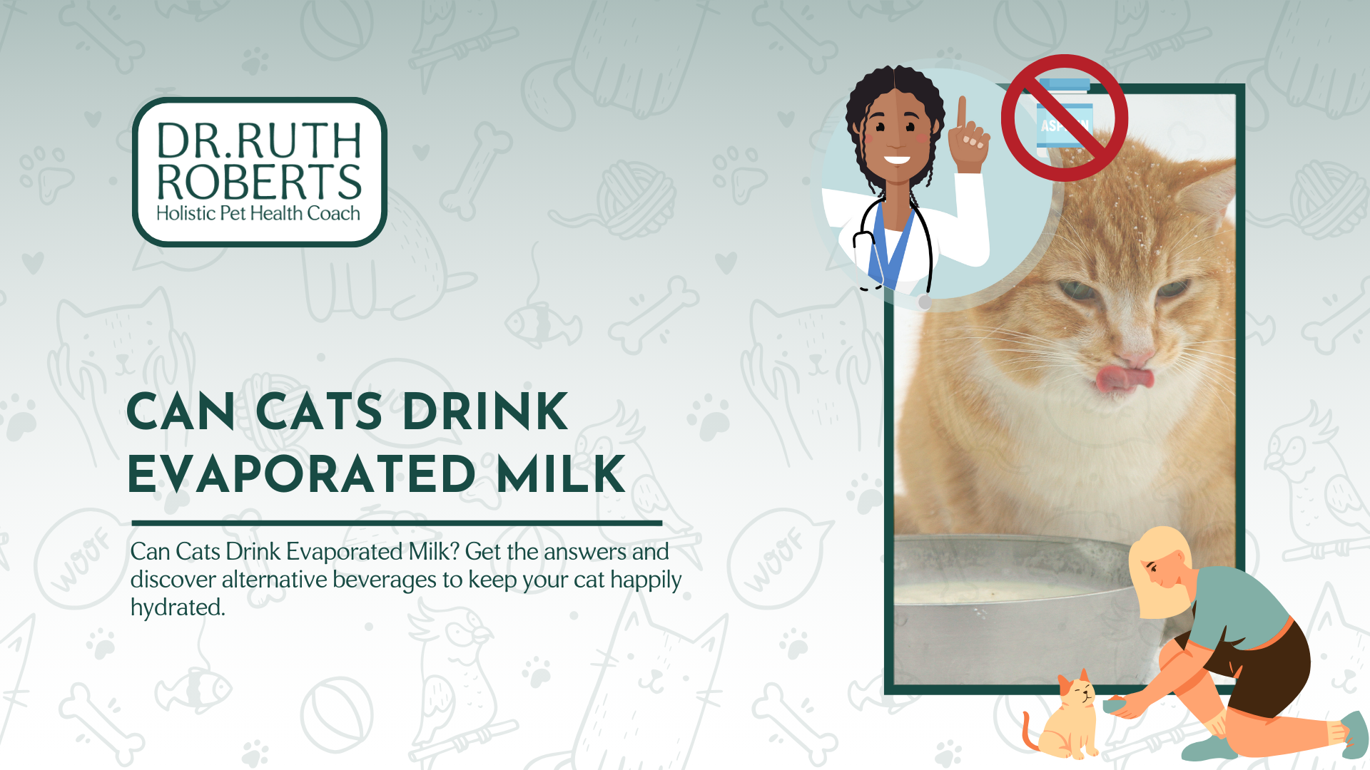 Pet milk cheap for cats