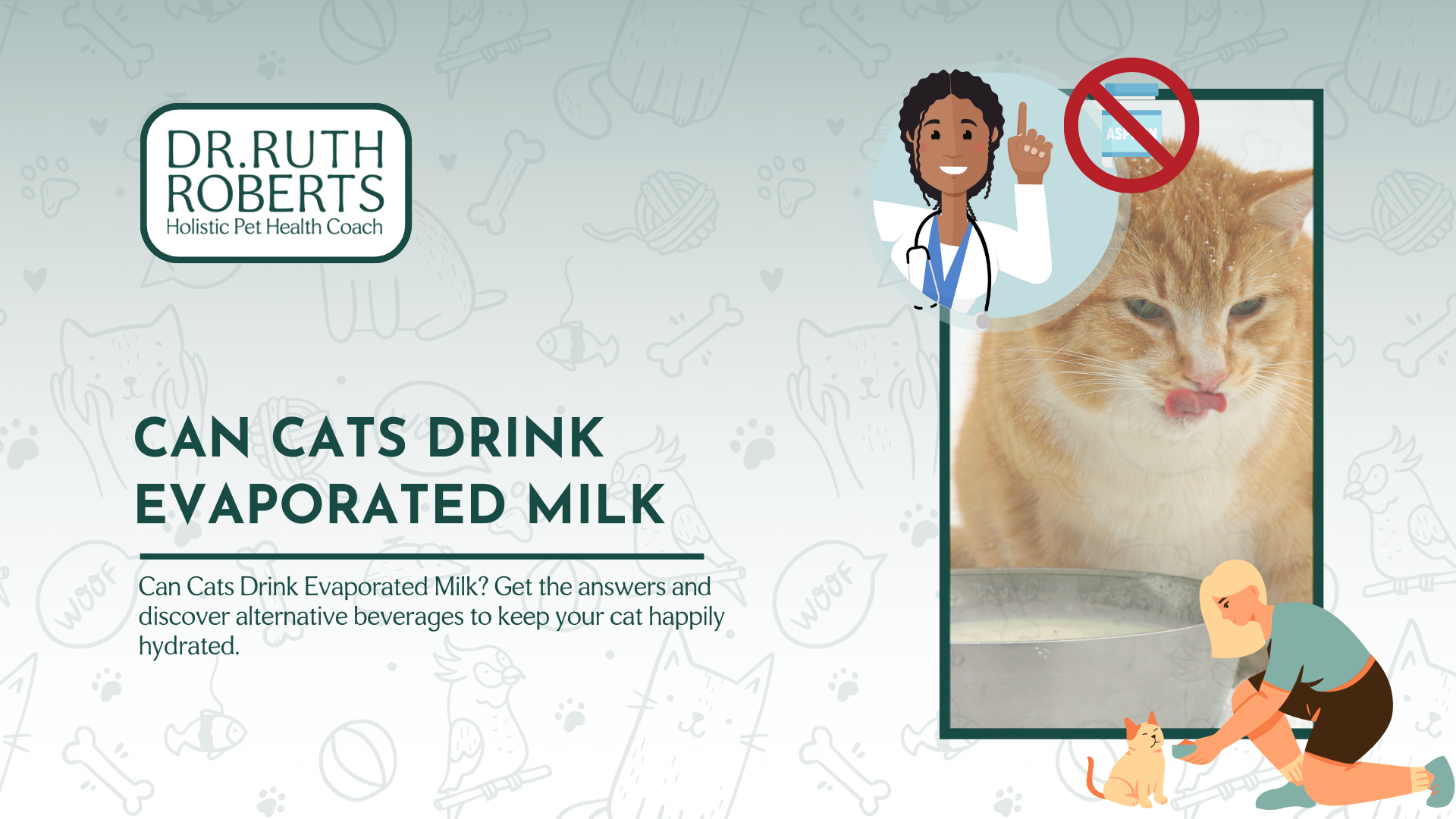 Kittens milk or water online