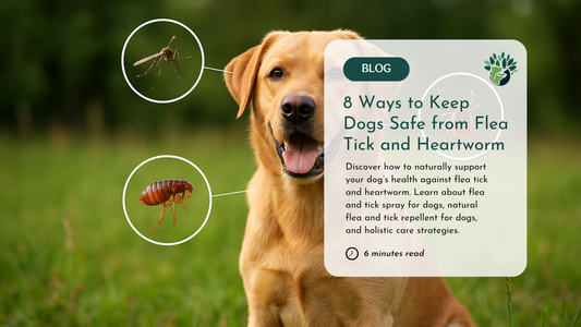 Holistic Ways to Support Your Dog Against Flea Tick and Heartworm