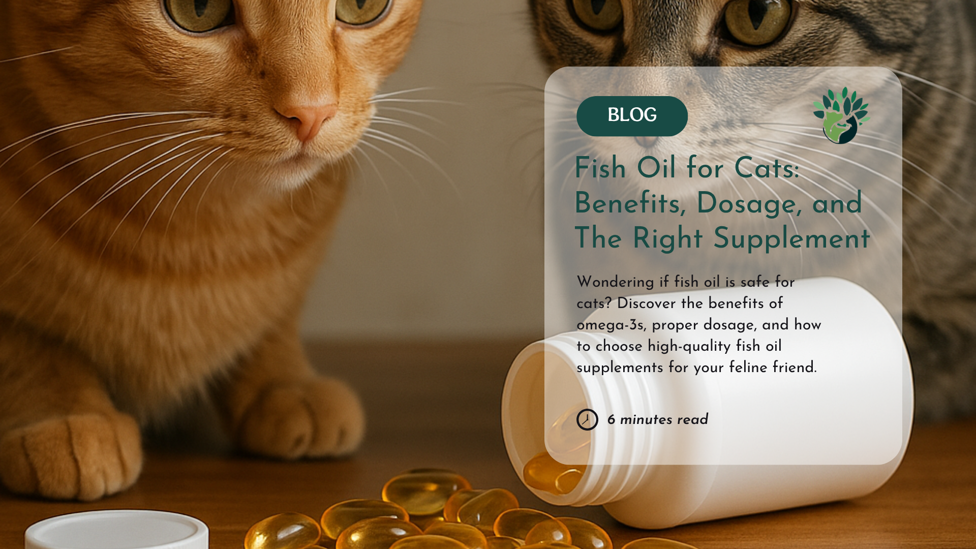 Are Essential Oils Good For Your Fish