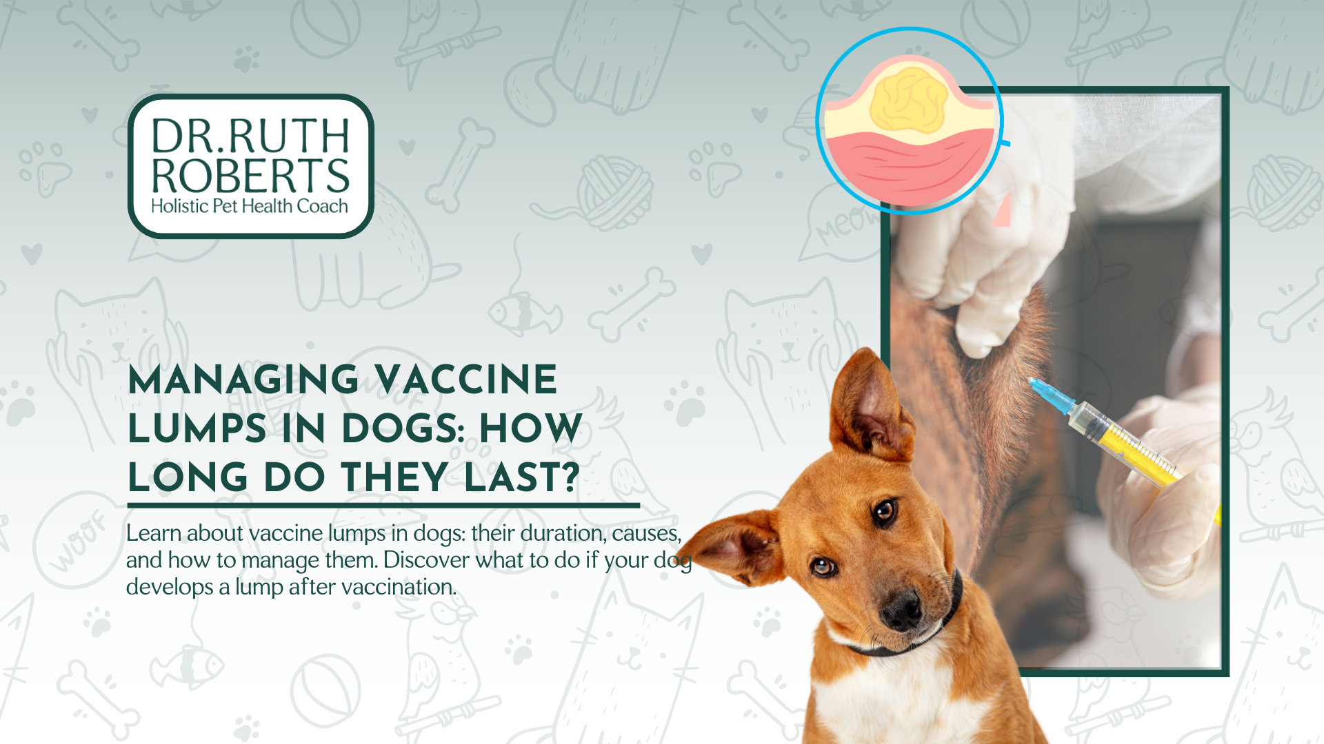 how long after puppy vaccination is immunization achieved