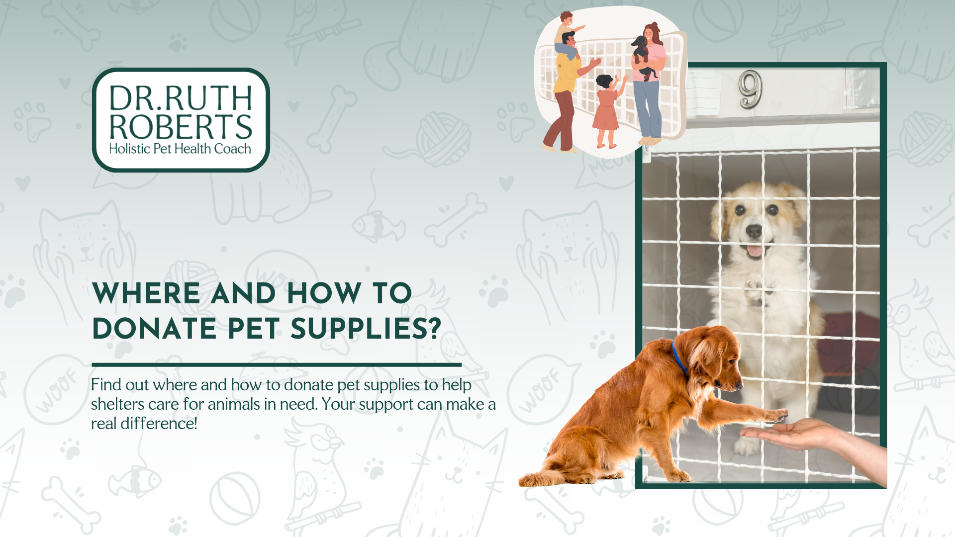 Where and How to Donate Pet Supplies