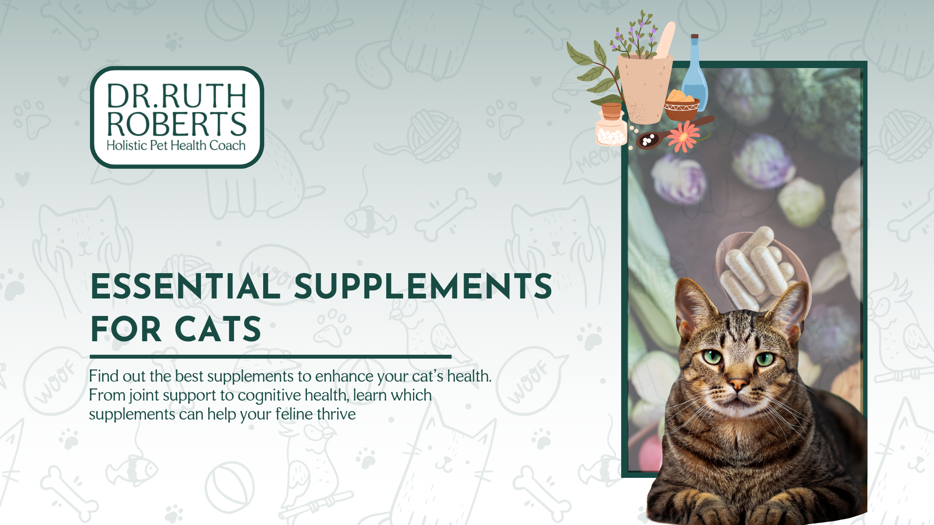 11 Best Supplements for Cats Essential Health Boosters