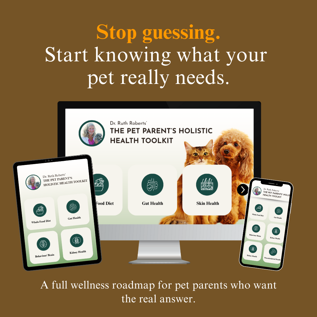 The Pet Parent’s Holistic Health Toolkit: Mastering Pet Parenthood Naturally