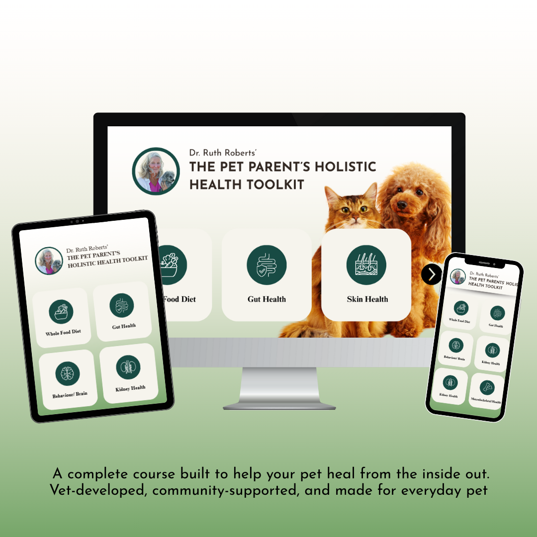 The Pet Parent’s Holistic Health Toolkit: Mastering Pet Parenthood Naturally