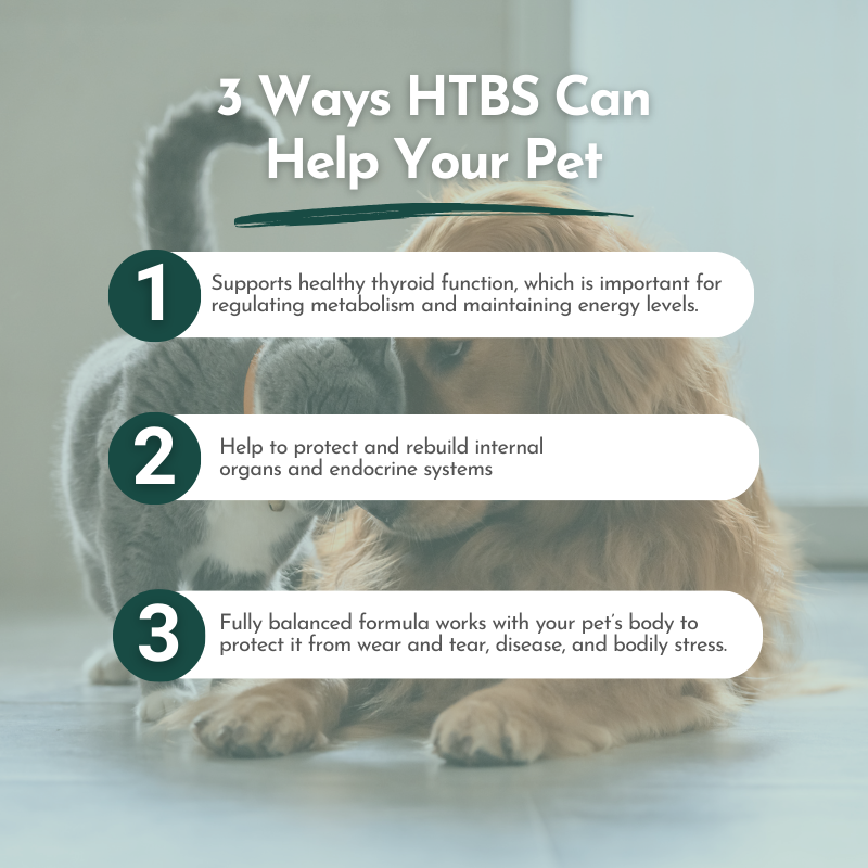 Holistic Total Body Support For Cats & Dogs by Dr. Ruth Roberts - Protect your pet's body from disease, bodily stress, wear and tear