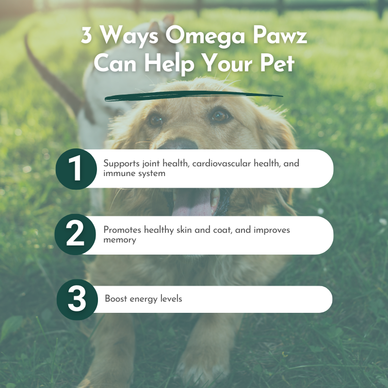 The promotional image for Omega Pawz, titled '3 Ways Omega Pawz Can Help Your Pet,' features a background of a dog playing in the grass. The text highlights three key benefits: it supports joint health, cardiovascular health, and the immune system; promotes healthy skin and coat, and improves memory; and boosts energy levels