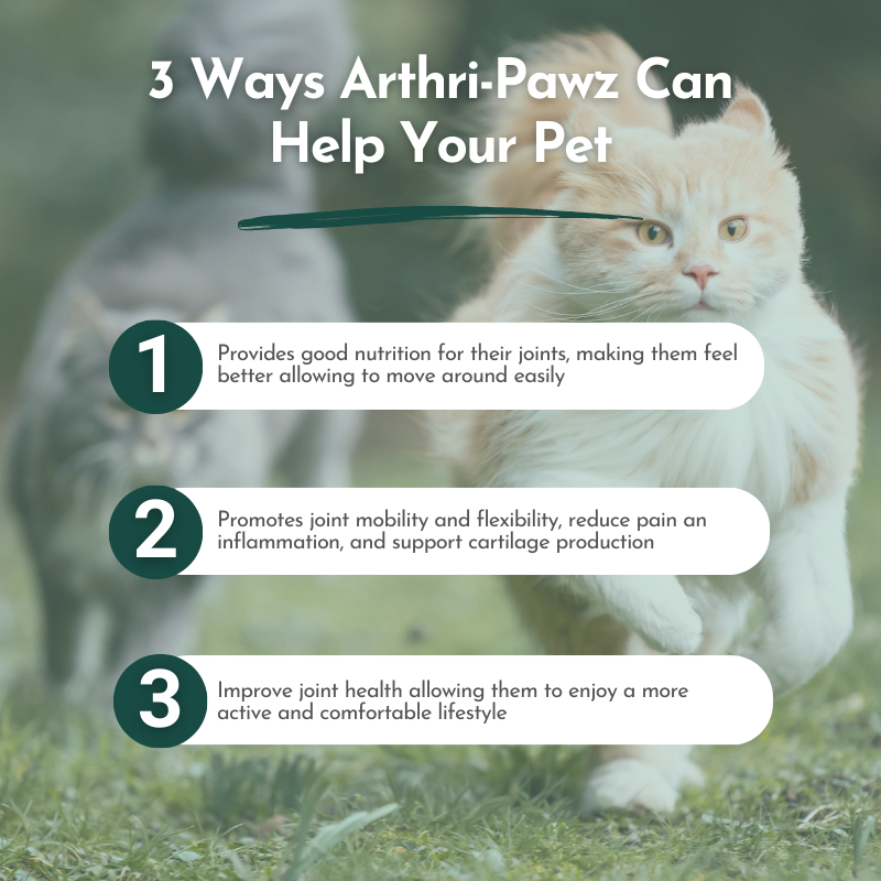 Arthri-Pawz - Best Joint Supplement for Dogs and Cats - It provides good nutrition for their joints, making them feel better and move around more easily.