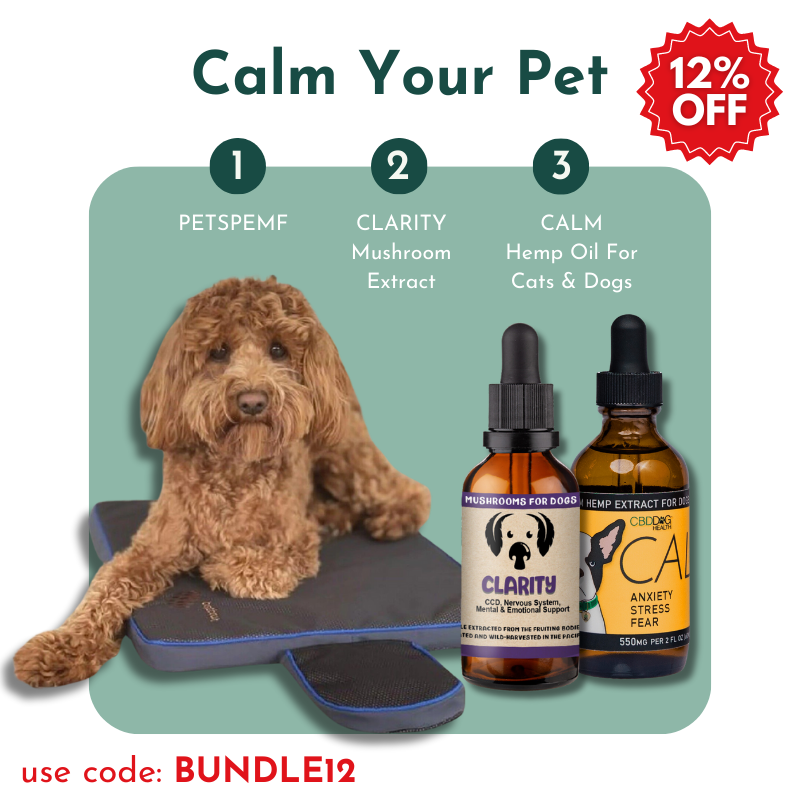 Stress relief for deals dogs