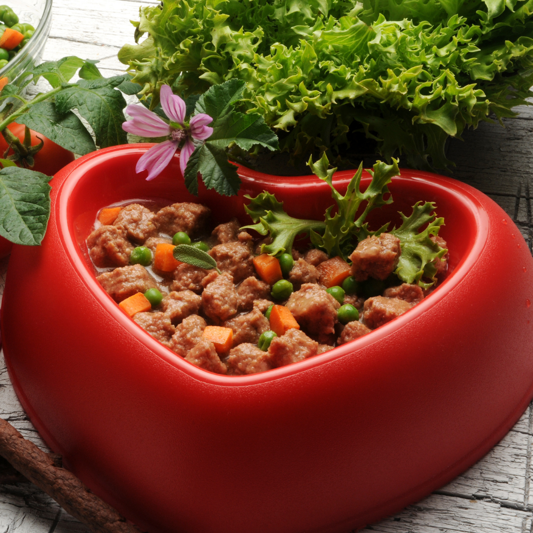 The Original Crockpet Diet bundle with Holistic Total Body Support Multivitamins on a kitchen countertop with fresh vegetables and supplements