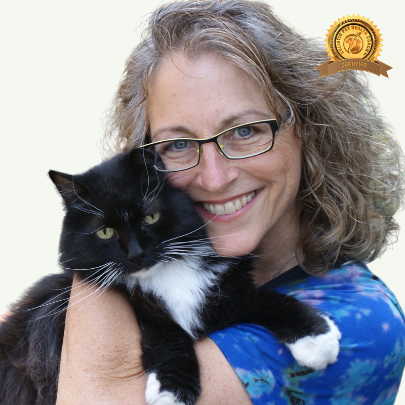 Wilma Shaw, a woman with curly gray hair and glasses, is smiling and holding a black and white cat. She is wearing a blue patterned top. There is a badge in the top right corner of the image that says "Certified" and includes the logo of "Holistic Pet Health Coach."