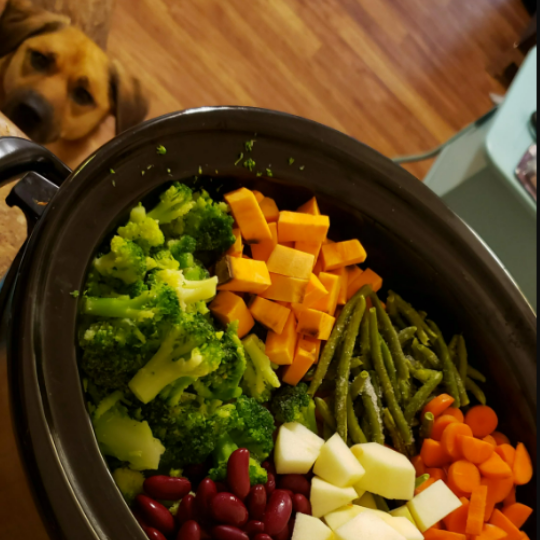 The Complete CrockPET Diet Kit - Holistic Natural Dog Food
