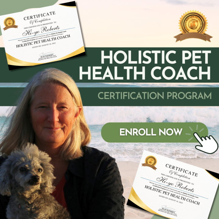 Holistic Pet Health Coach™ Certification Program