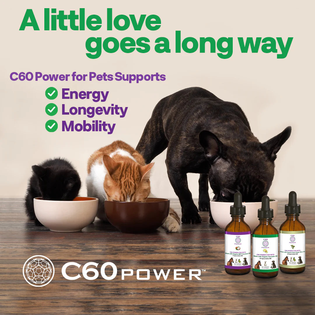 C60 Purple Power - Antioxidant with Organic Avocado Oil (59ml)