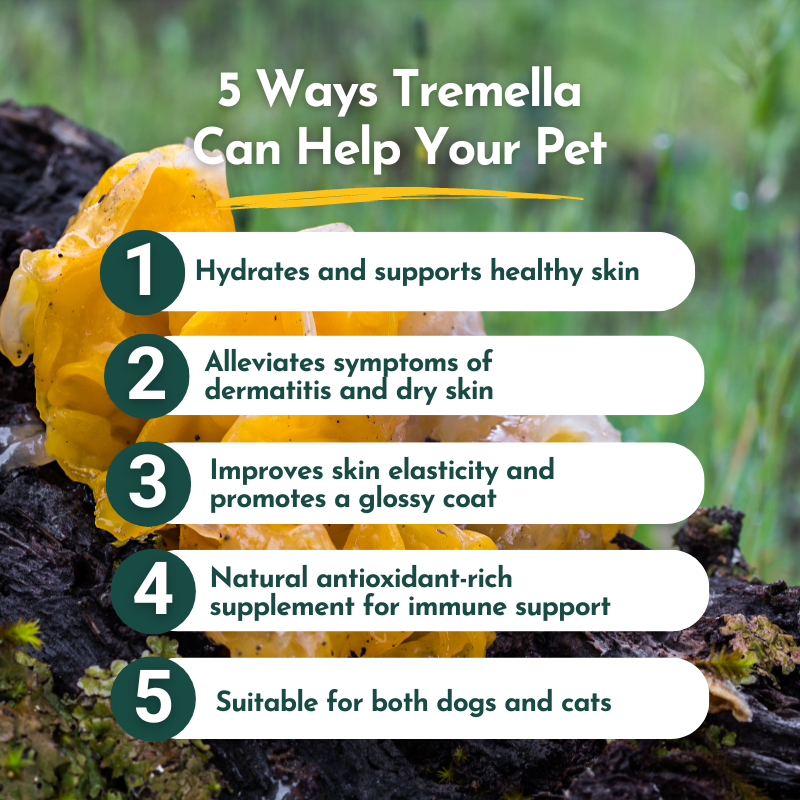Tremella Mushroom Powder for Pets