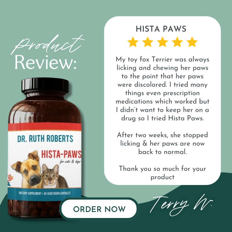 A graphic displaying a product review for "Heta Paws," an herbal allergy supplement for pets. The review, featuring a 5-star rating, is by Dr. Ruth Roberts and describes how the supplement helped a toy fox terrier with paw licking and discoloration. The review states that after using Heta Paws for two weeks, the dog's paws returned to normal. The image includes a bottle of "Heta Paws" on the left and a call-to-action button that reads "Order Now."