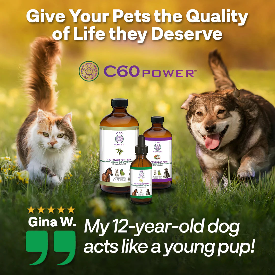 C60 Purple Power - Antioxidant with Organic Avocado Oil (59ml)