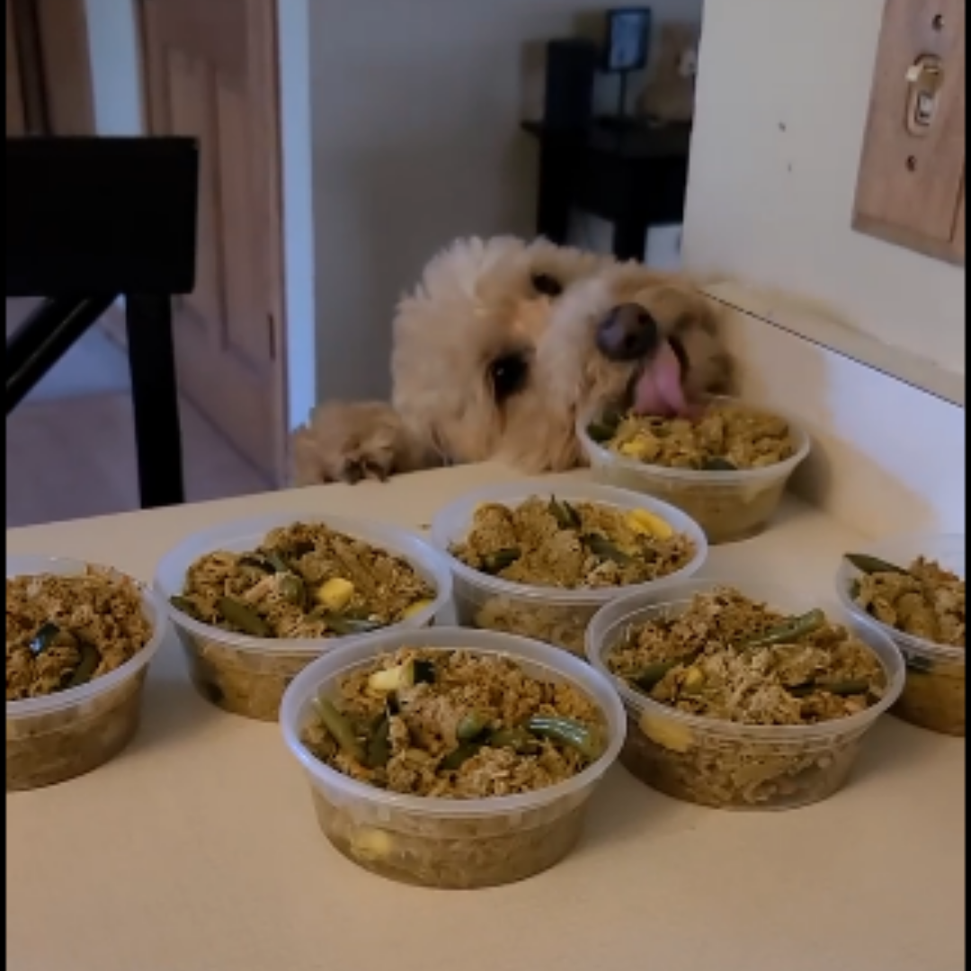 The Complete CrockPET Diet Kit - Holistic Natural Dog Food