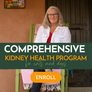 Kidney Health Care Course for Dogs and Cats - Dr. Ruth Roberts