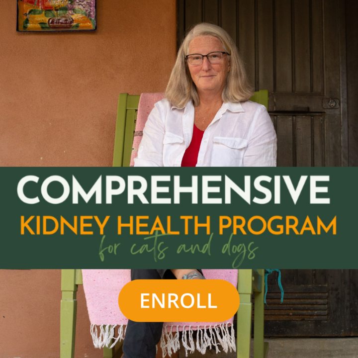 A promotional image for a comprehensive kidney health program for cats and dogs. The image features Dr. Ruth Roberts, with glasses, sitting in a green chair. The text overlay reads 'Comprehensive Kidney Health Program for cats and dogs.' Below the text is an orange button labeled 'Enroll