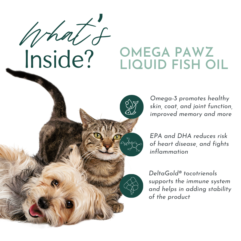 The Omega Pawz Liquid Fish Oil promotional image, titled "What's Inside?", shows a brown tabby cat with green eyes sitting upright and a small, light-colored terrier mix with a fluffy coat lying playfully. The text lists the benefits: Omega-3 supports skin, coat, and joint health, and improves memory; EPA and DHA lower heart disease risk and reduce inflammation; DeltaGold® tocotrienols boost the immune system and stabilize the product