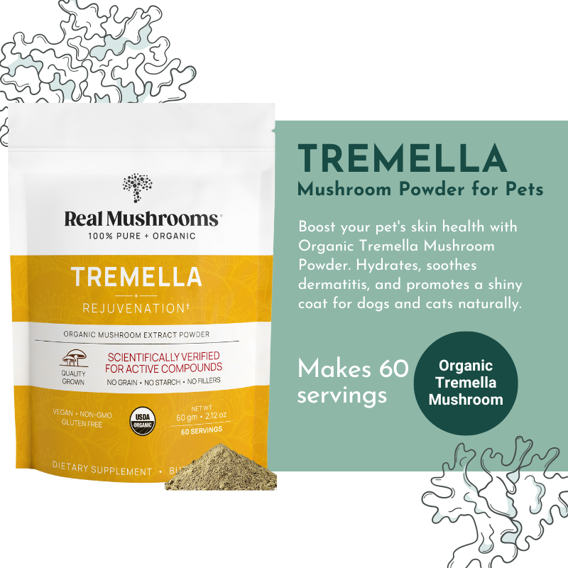 Tremella Mushroom Powder for Pets