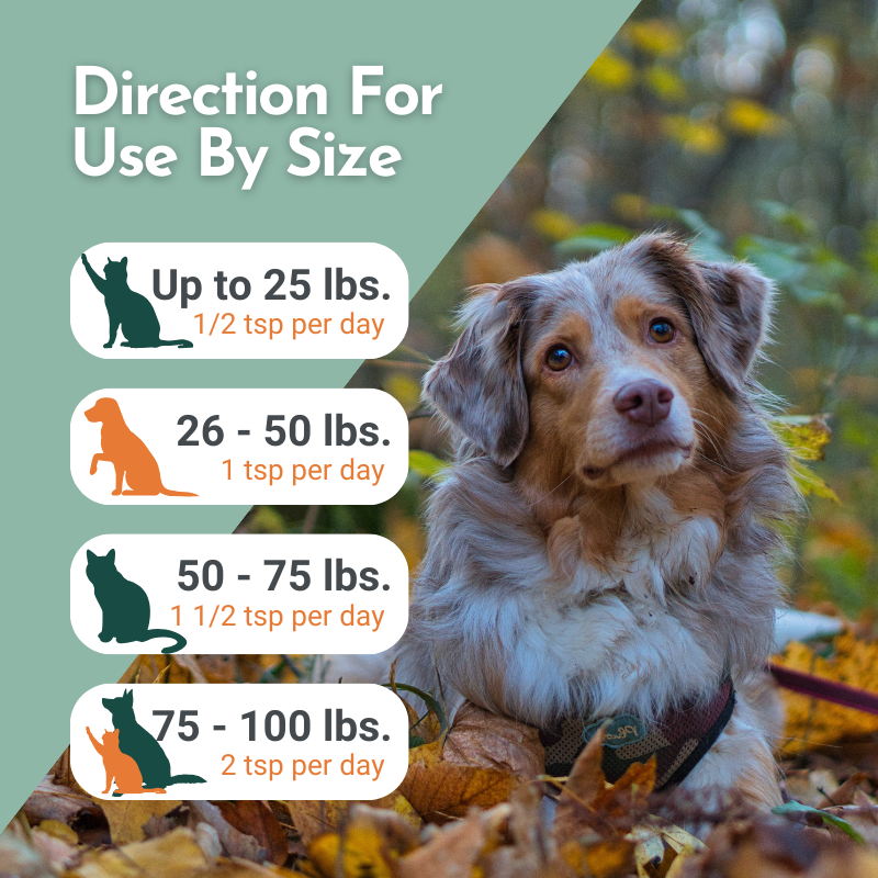 The Omega Pawz promotional image, titled "Direction For Use By Size," features a dog sitting among autumn leaves. It outlines dosage instructions based on pet weight: for pets up to 25 lbs, use 1/2 tsp per day; for those between 26 and 50 lbs, use 1 tsp per day; for pets between 50 and 75 lbs, use 1 1/2 tsp per day; and for those between 75 and 100 lbs, use 2 tsp per day. Each weight category is illustrated with an icon of a cat or dog