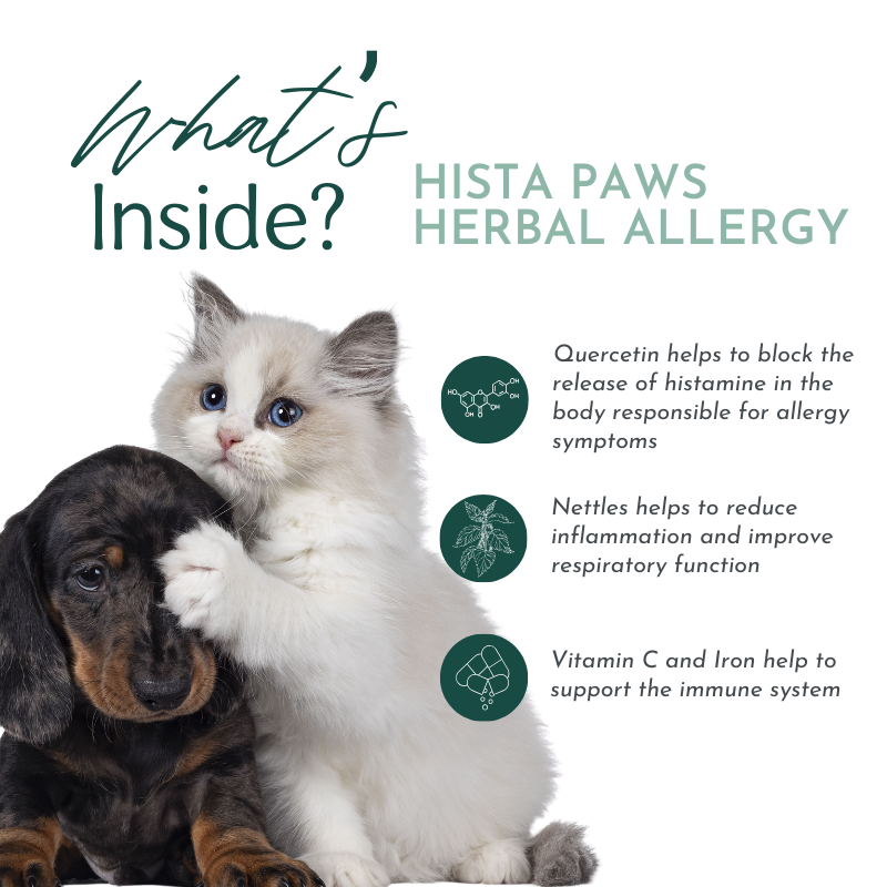 Two dogs and a cat are next to text that reads: "What's Inside? Hista Paws' Herbal Allergy Supplement. Quercetin helps to block the release of histamines responsible for allergy symptoms. Nettles reduce inflammation and improve respiratory function. Vitamin C and Zinc support the immune system.