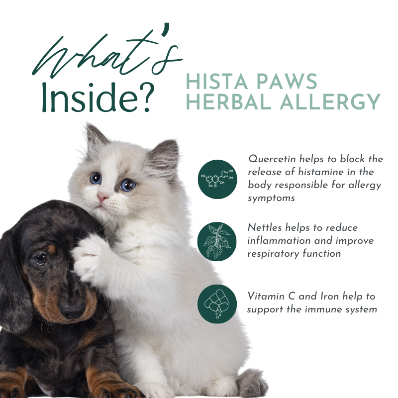 Hista Paws - Herbal Allergy Supplement for Cats and Dogs - Add Hista Paws to your pet's daily routine and watch as their allergy symptoms diminish and their quality of life improves.