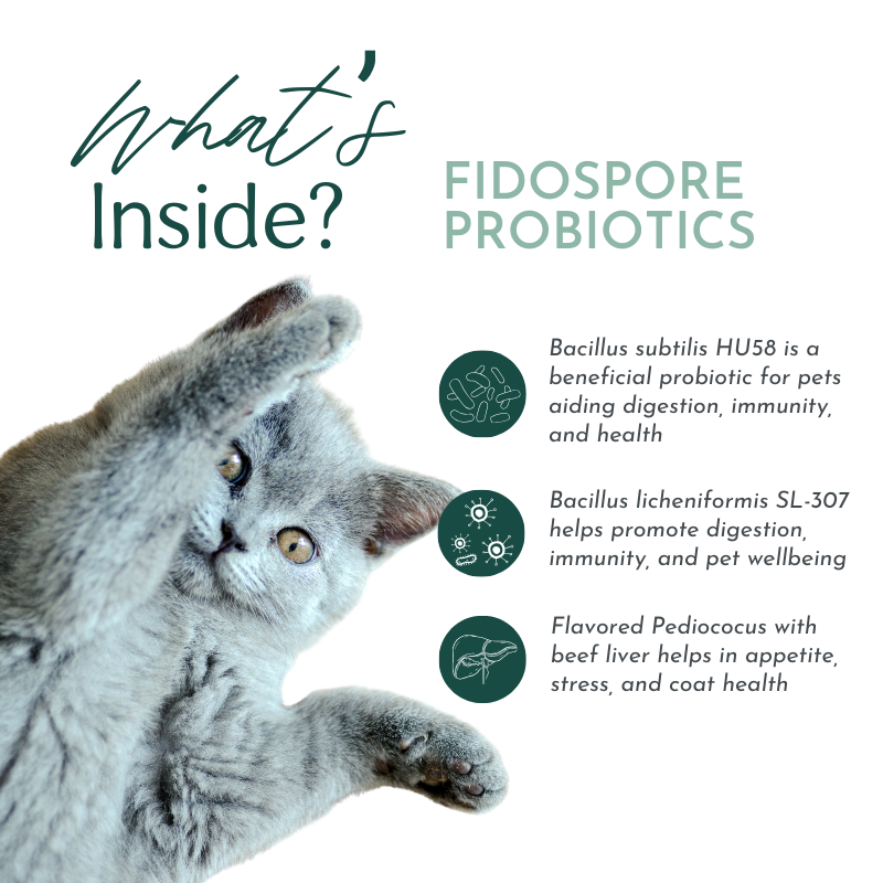 Fidospore Probiotics contain Bacillus subtilis HU58, which aids digestion, immunity, and overall health; Bacillus licheniformis SL-307, promoting digestion, immunity, and wellbeing; and Pediococcus with beef liver, which helps with appetite, stress, and coat health