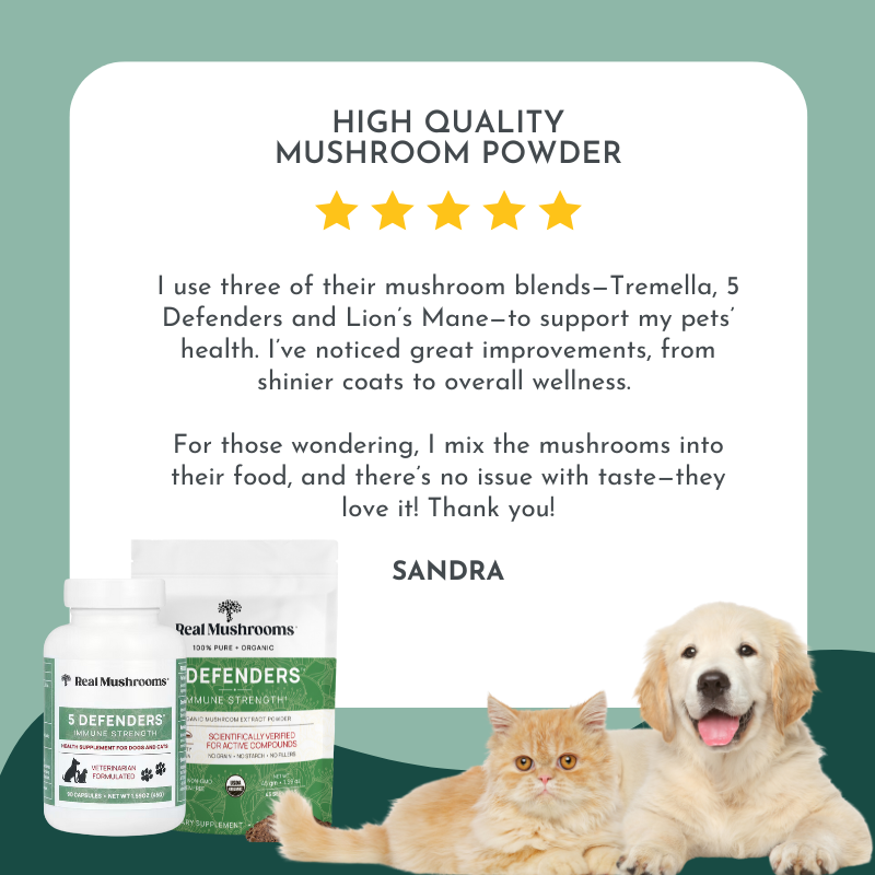 5 Defenders Organic Mushroom Blend Capsules - Immune Support