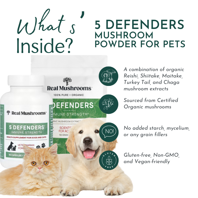 5 Defenders Organic Mushroom Blend Capsules - Immune Support