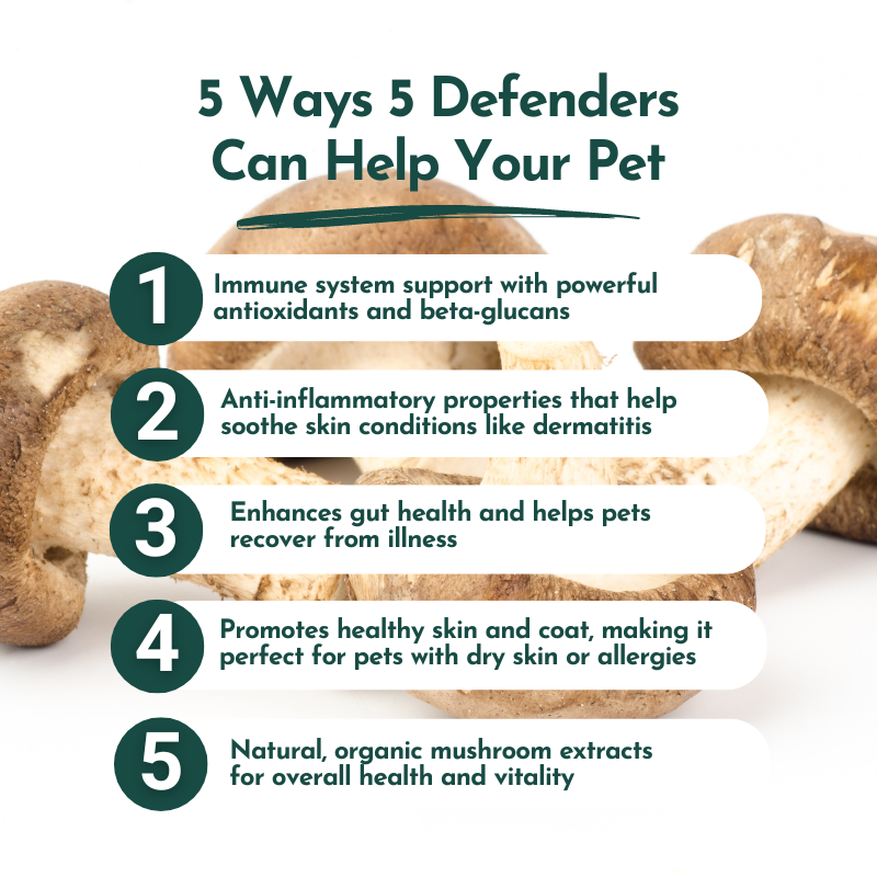 5 Defenders Organic Mushroom Blend Capsules - Immune Support