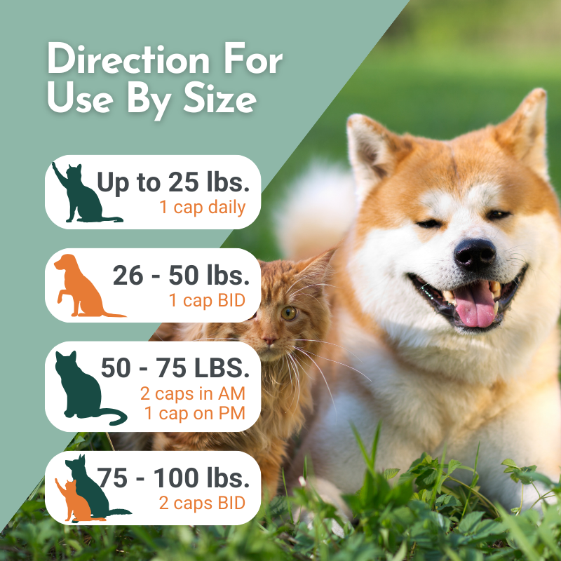 a dosage guide for Arthri-Pawz based on pet size. The text reads:  "Direction For Use By Size  Up to 25 lbs.: 1 cap daily 26 - 50 lbs.: 1 cap BID 50 - 75 lbs.: 2 caps in AM, 1 cap in PM 75 - 100 lbs.: 2 caps BID" The background features a smiling dog and a ginger cat in a grassy area. The weight categories are illustrated with silhouettes of cats and dogs.