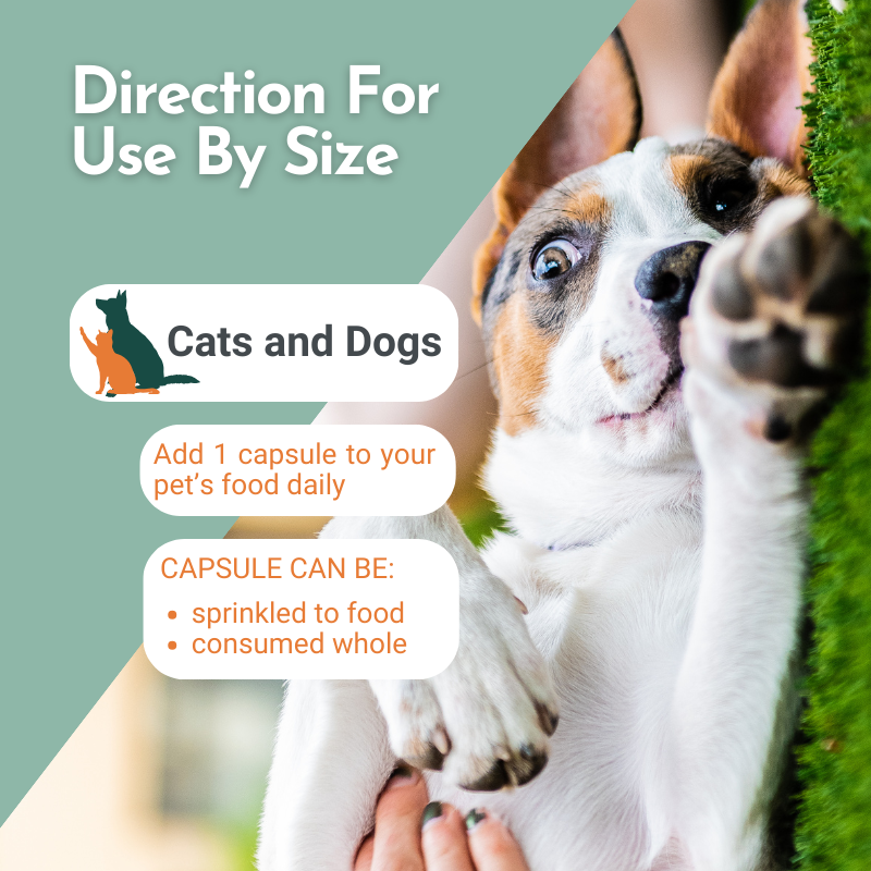 FidoSpore usage instructions: 'Direction For Use By Size'. For Cats and Dogs: Add 1 capsule to pet's food daily, either sprinkled on food or consumed whole. Background image of a small dog.