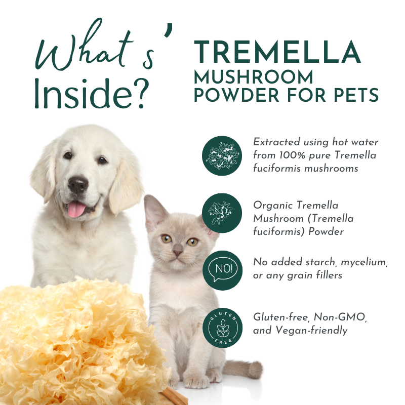 Tremella Mushroom Powder for Pets