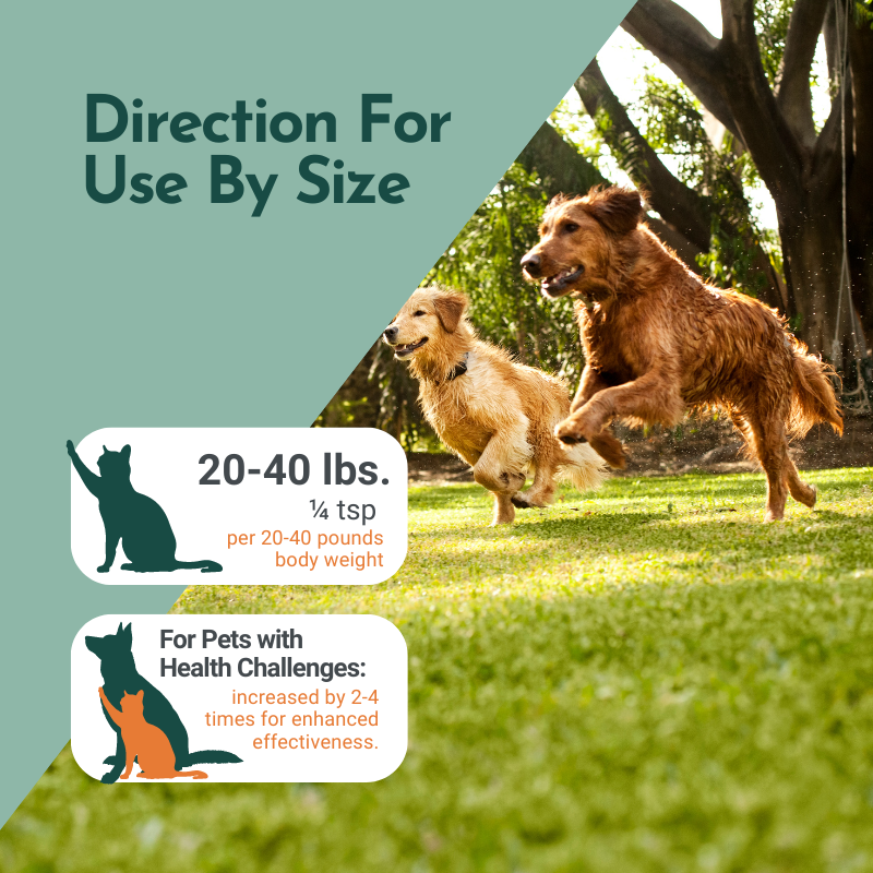 Tremella Mushroom Powder for Pets