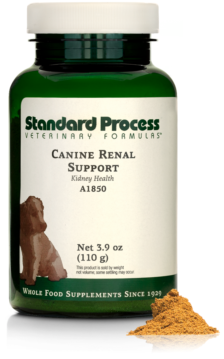 Canine Renal Support for Dogs: Buy Now Ruth Roberts