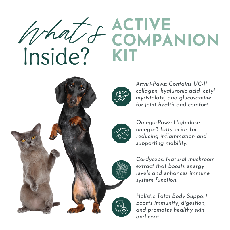 Active Companion Kit: Joint & Whole-Body Wellness for Pets