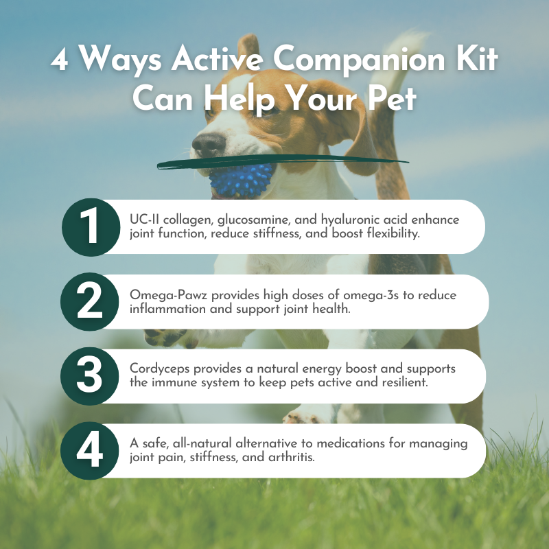 Active Companion Kit: Joint & Whole-Body Wellness for Pets