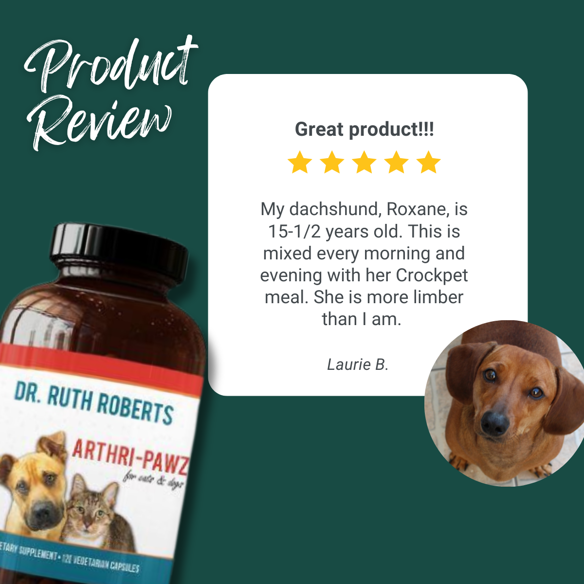 Active Companion Kit: Joint & Whole-Body Wellness for Pets