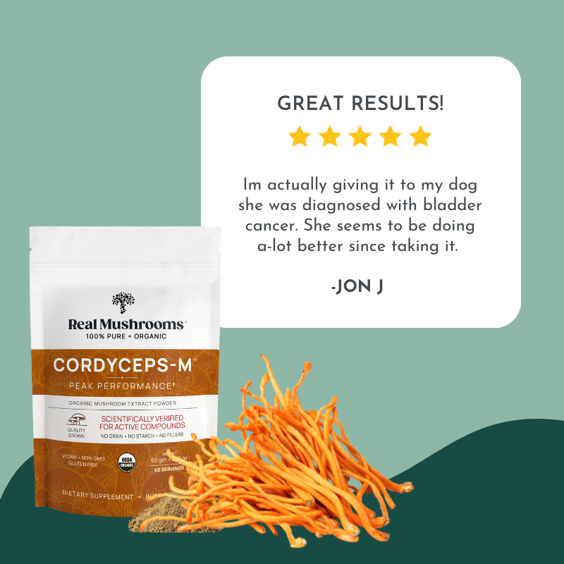 Organic Cordyceps Mushroom Powder for Pets (60 g) - Peak Performance