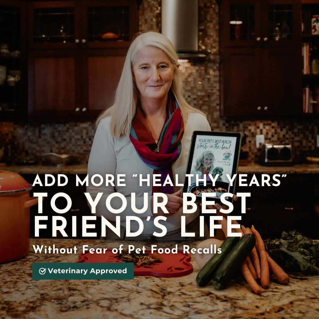 the Original Crockpet Diet bundle with Holistic Total Body Support Multivitamins on a kitchen countertop with fresh vegetables and supplements