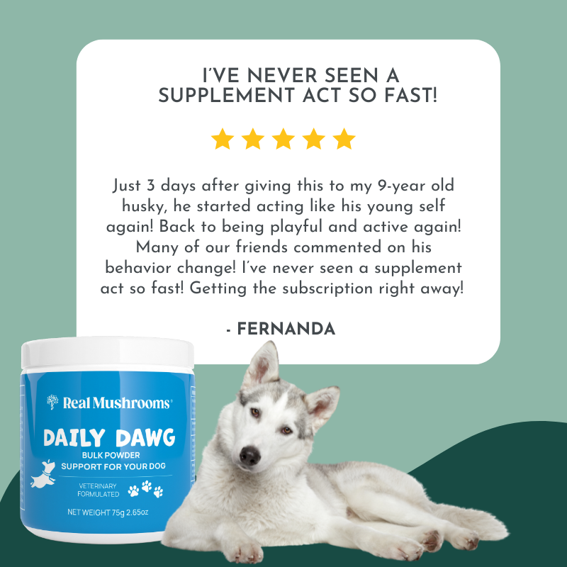 Ultimate Pet Wellness Kit – Holistic Support for Dogs