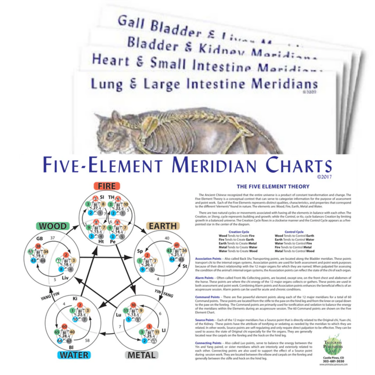 Feline 5 Element Meridian Charts
